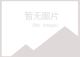 大新县千城能源有限公司